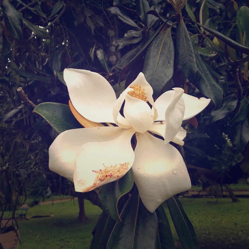 Meet your Posher, Tia